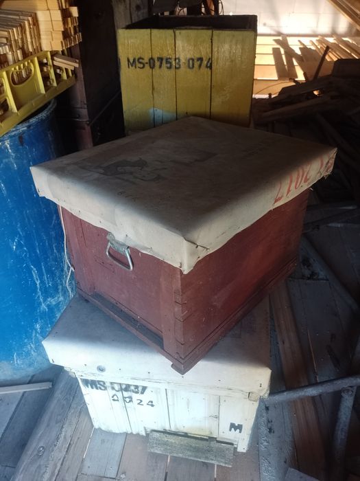 Lazi petru stupi, stas 10 rame