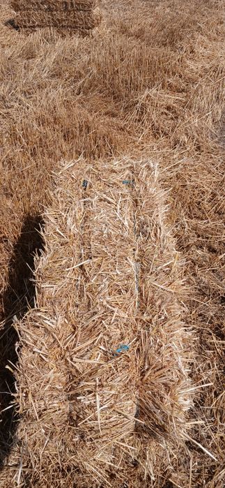 Vănd baloți de paie