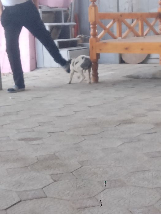 Есть гарантия есть