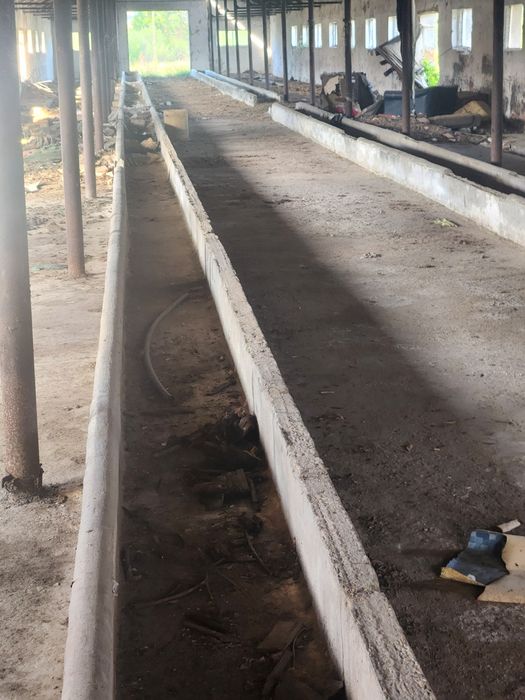 Vând sau Închiriez Ferma Animale