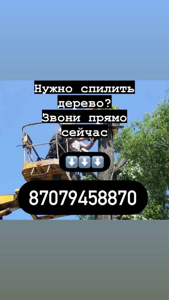 Спил деревьев, обрезка деревьев, В Актобе