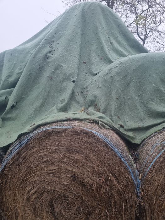 Baloti de fân si paie