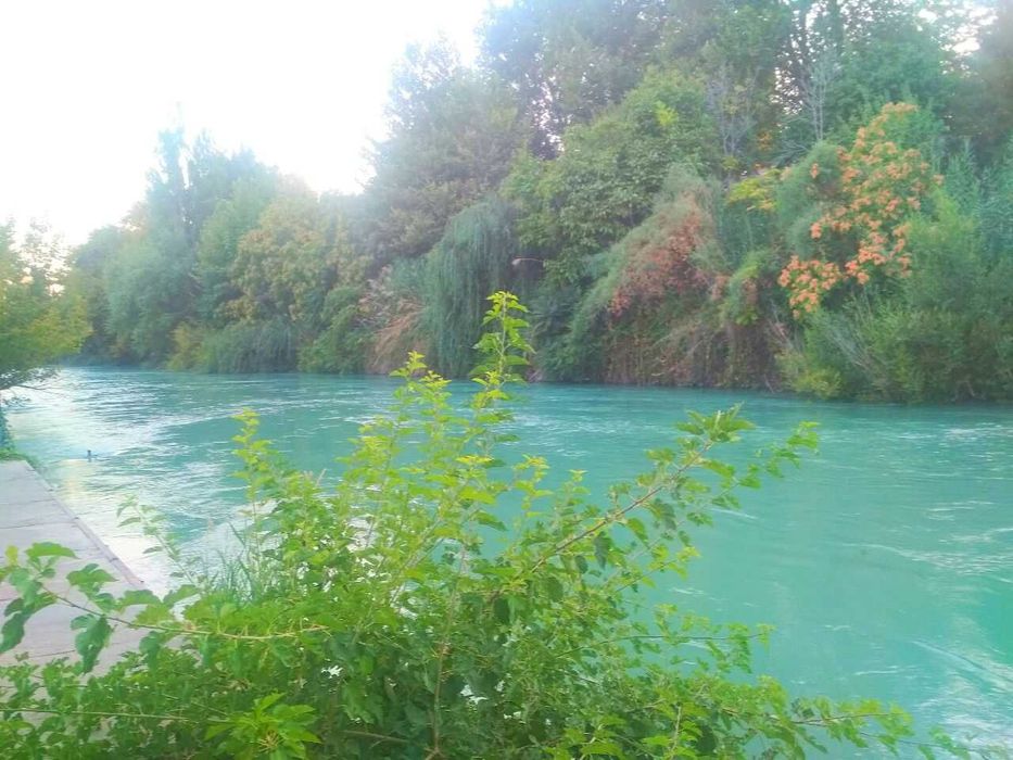 Экология Тоза Даре якин Худудда 5 СОТИК 3 ХОНА сотувда М.УЛУГБЕК ш.