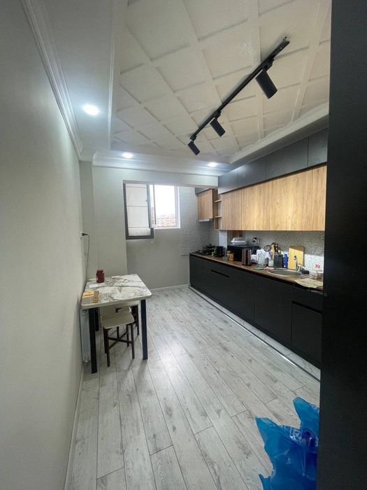 Тошкент шахар Малярка хизмати.