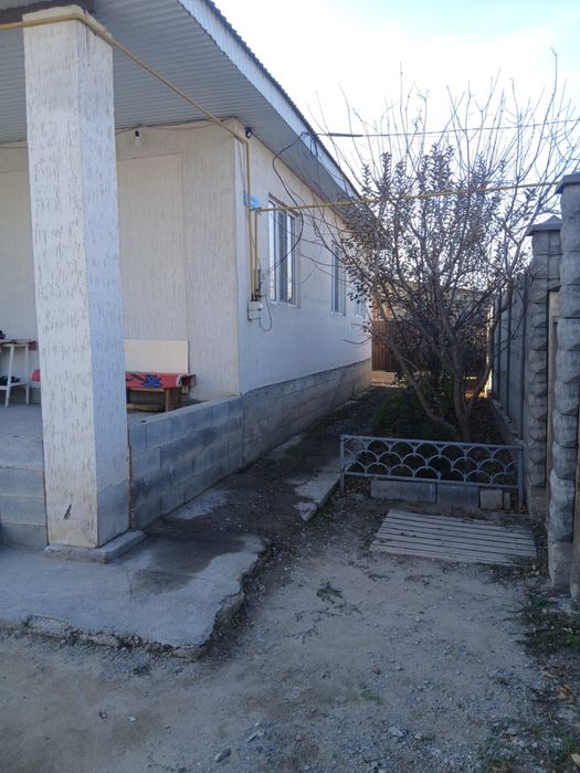 Алматы обл или ауданы кок кайнар пос ул тилектес