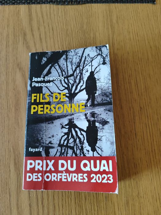 Романи на френски език