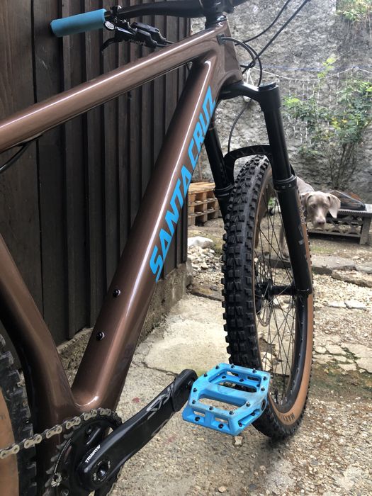 Santa Cruz Chameleon C - Large