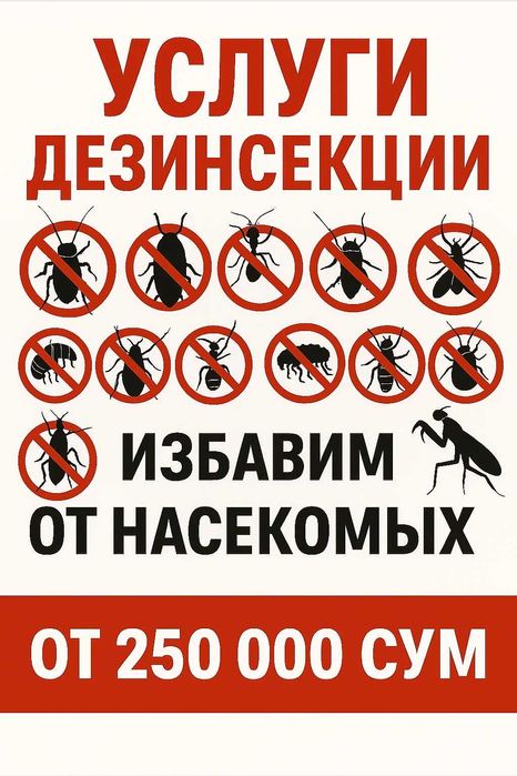 Dezinfeksiya klop дезинфекция Уничтожение насекомых, тараканов, клоп