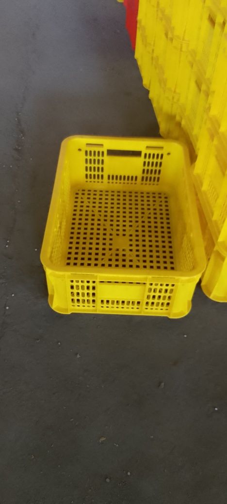 yashik sifati va baquvvat