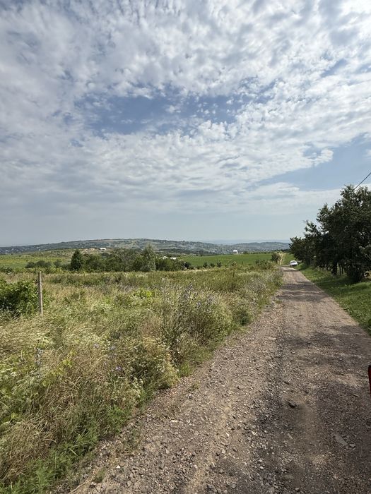 Teren intravilan Goruni 3000 MP toate utilitatile