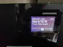 Radio internet Grunding și Pinell 2