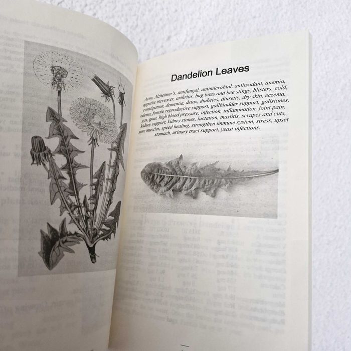 Carte noua: Dandelion, medicine book
