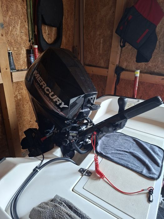 FIBROMARINE 380 an 2021+ motor Mercury 15 cp an 2022
