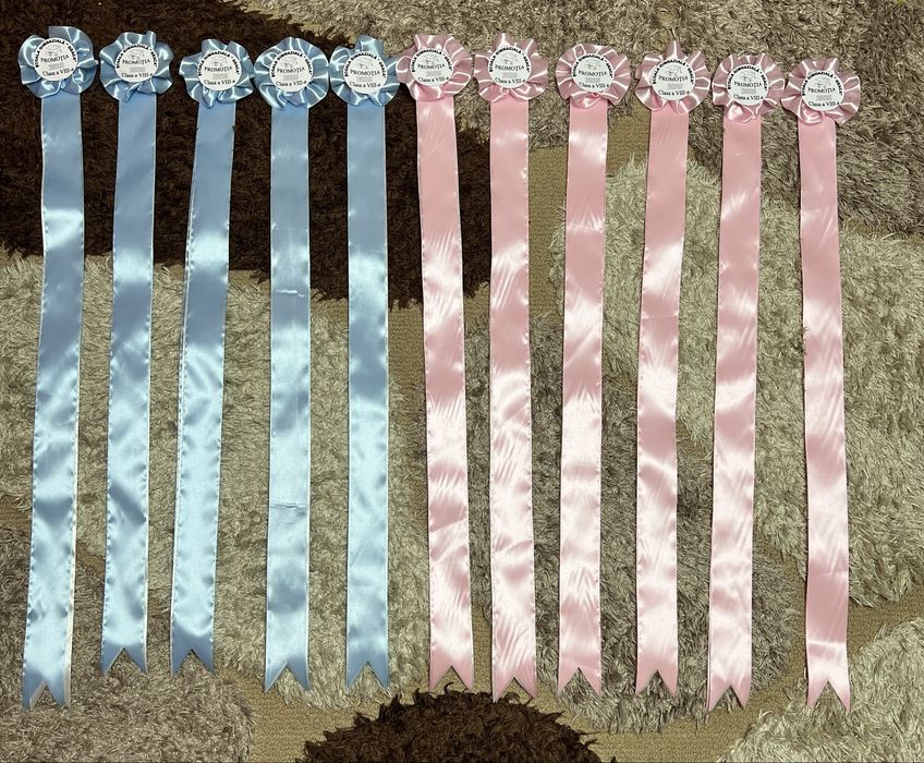 Panglici/ cocarde clasa a 4 a si a 8 a