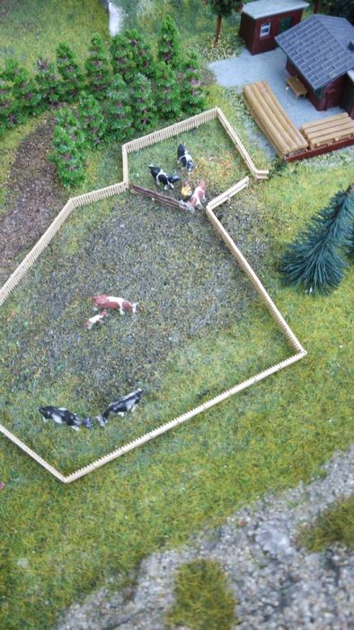 Diorama trenulet electric scara n