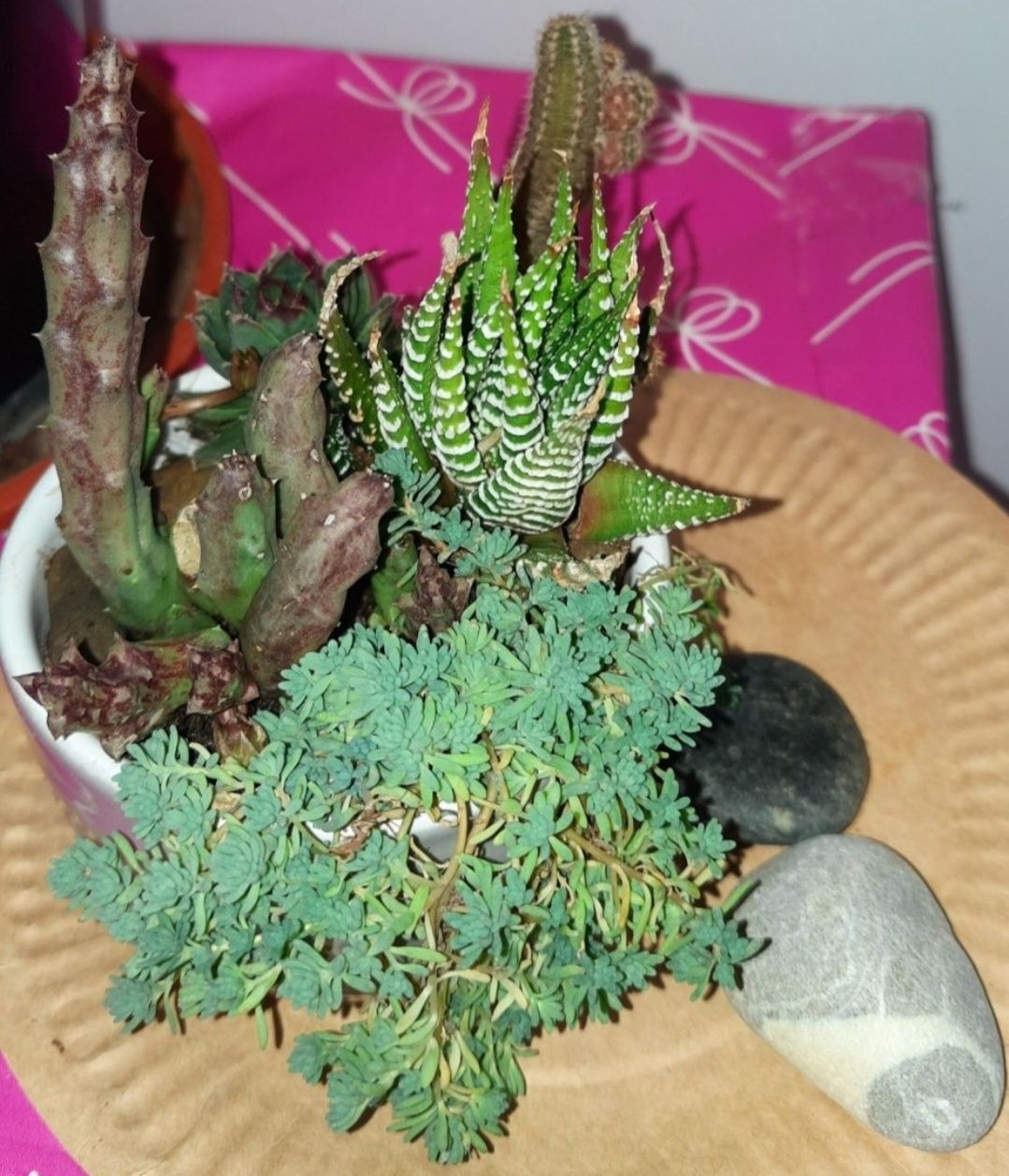 Cactus.Vas decorativ ,creat în funcție de cerere