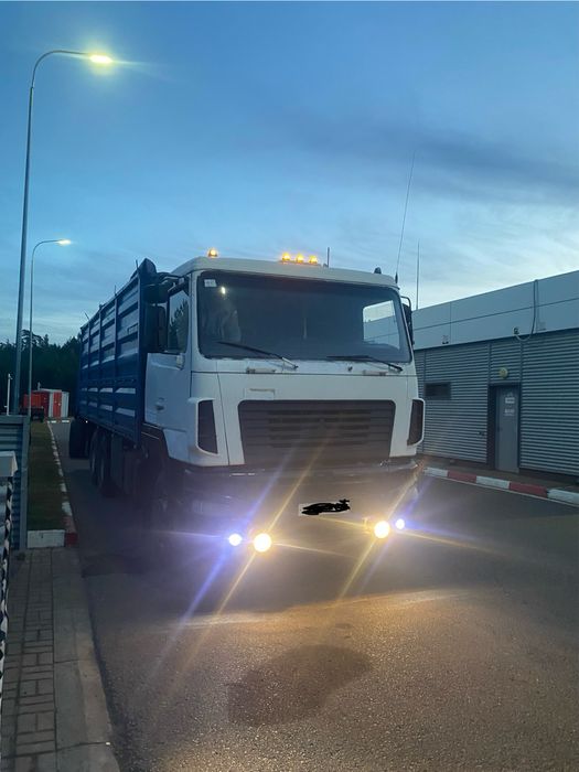 Зерновоз Маз продажа/обмен