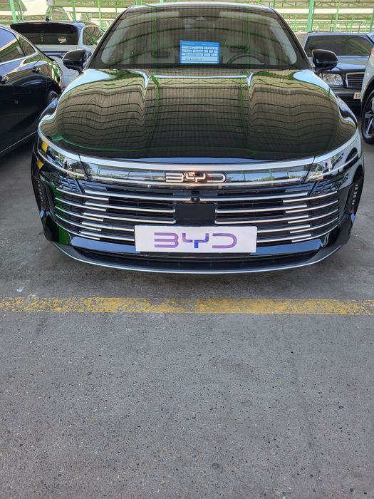 Chazor Flagship 2025