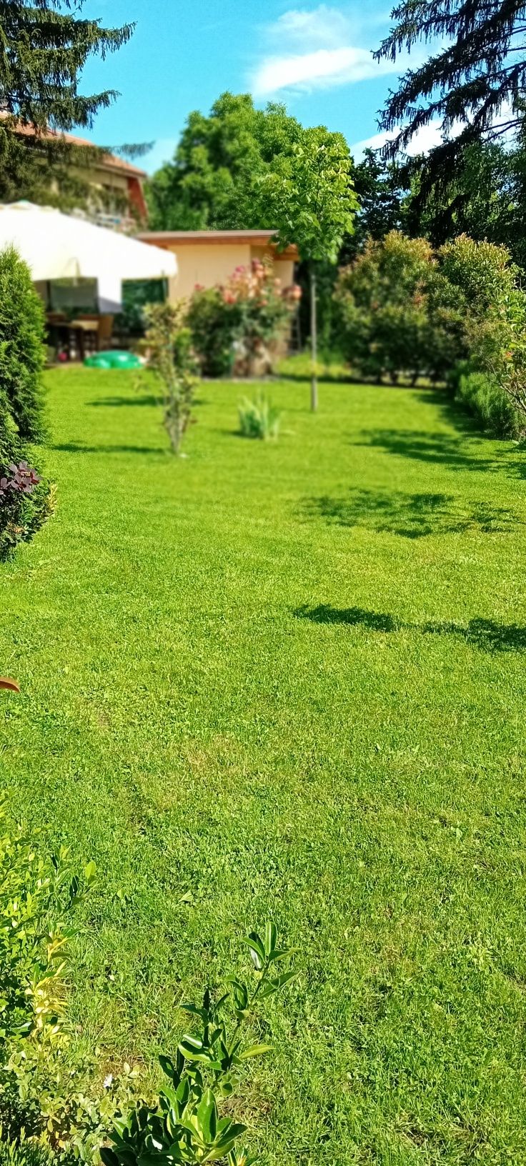 https://nikgarden.com/косене,аериране и поддръжка на зелени площи htt