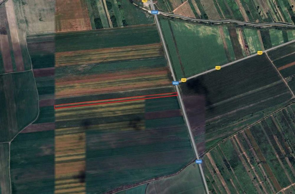 Teren Extravilan Comuna Vartescoiu 7700Mp