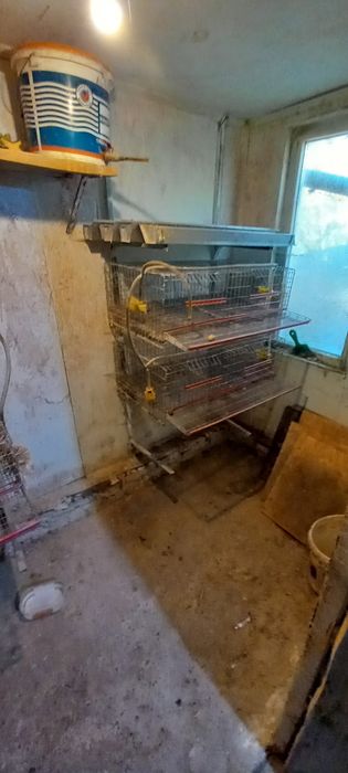 Custi prepelite echipate