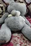 Teddy ayiqlar sastiyanasi yaxshi