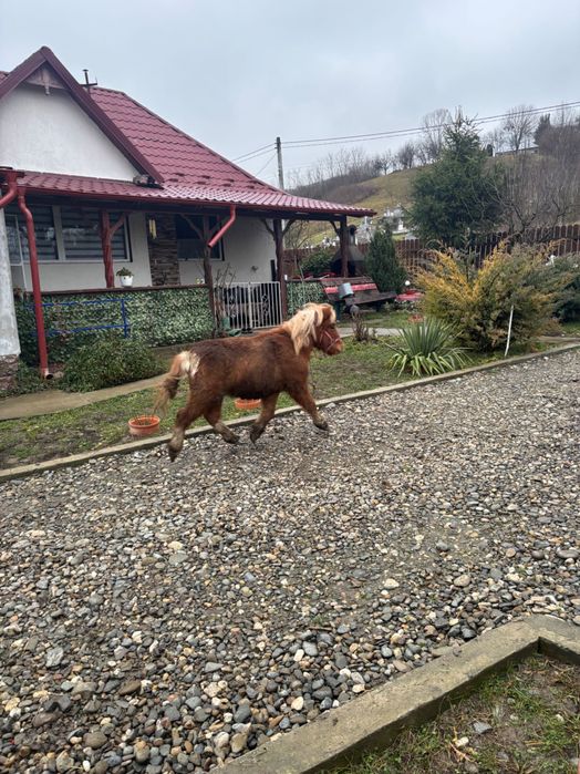 Manz de  1 an super cuminte