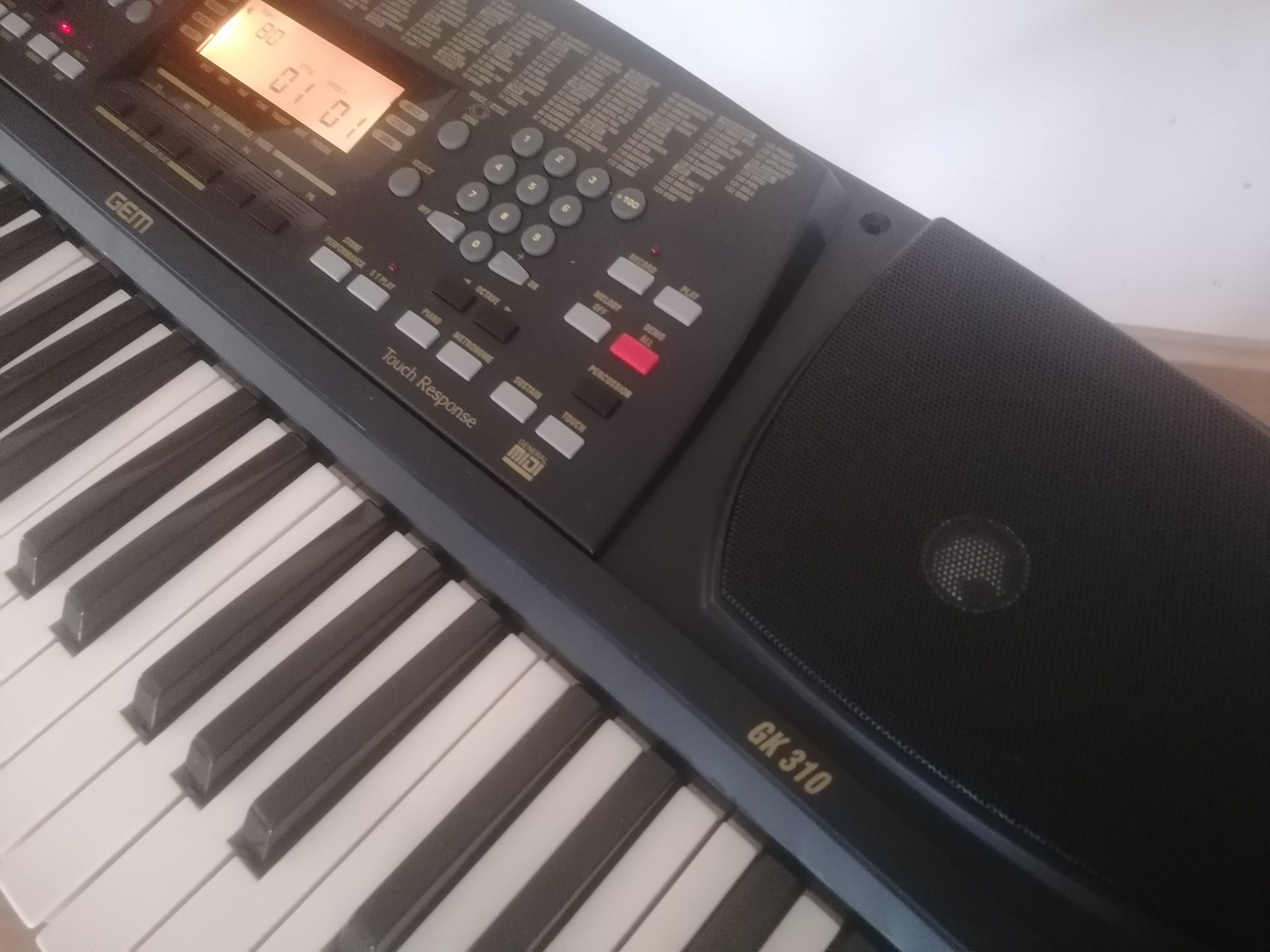 GEM GK-310 dinamic touch Display