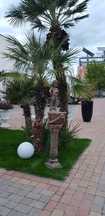 jardiniera flori/ghiveci flori/staueta gradina/ornament gradina/statue