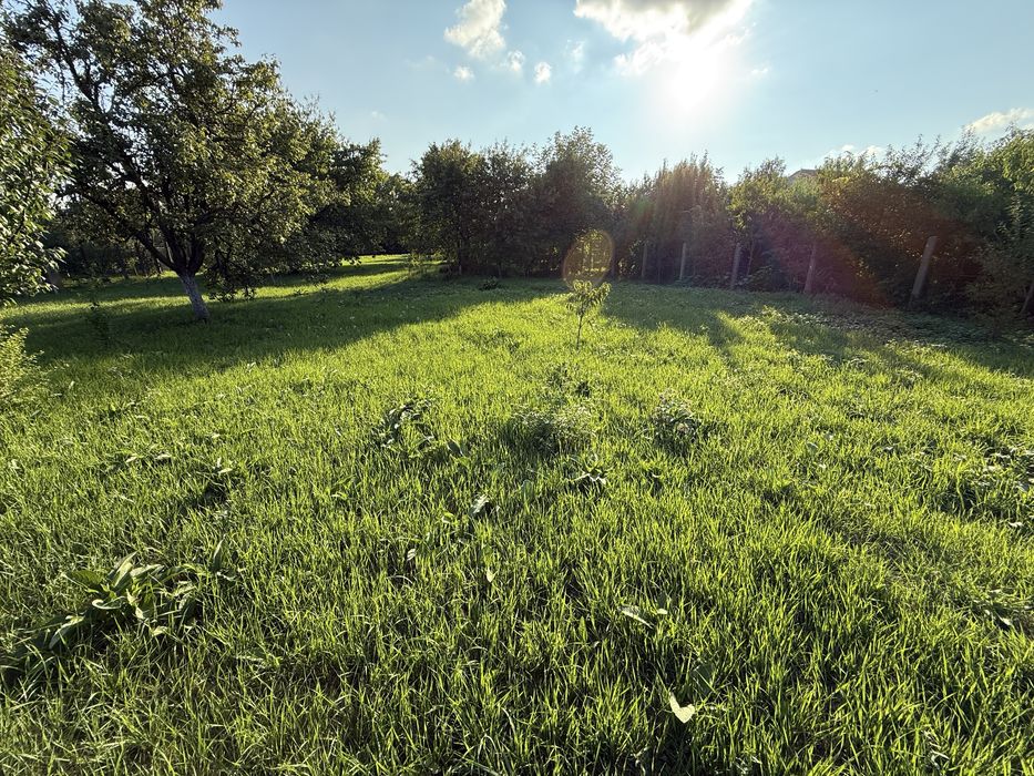 Ofer spre Vanzare Teren intravilan zona Titulescu 3.000 mp ( 30 Ari )