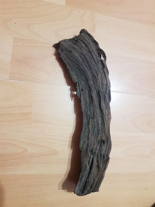 Vand 1  buturuga mahon ptr acvarii