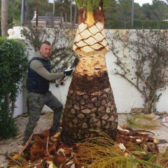 Amenajare grădini,toaletare pomi,scarificare-insamantare gazon!