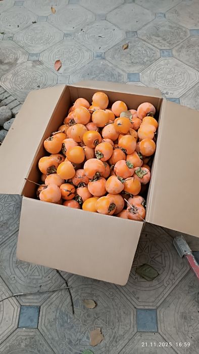 Хурма домашняя, сладкий сорт не вяжет.