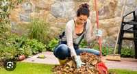 Предлагаю услуги садовник уборка территории разнорабочий
