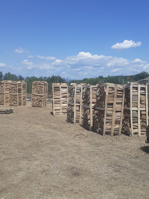 Lemn de foc fag paletizat transport la domiciliu