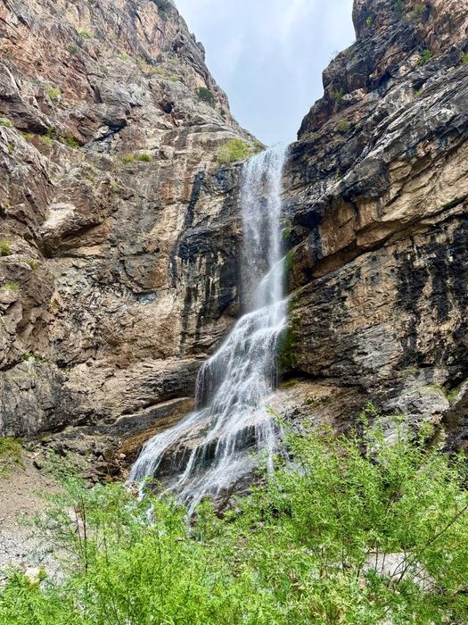 Экскурсии из Ташкента в горы в Туры