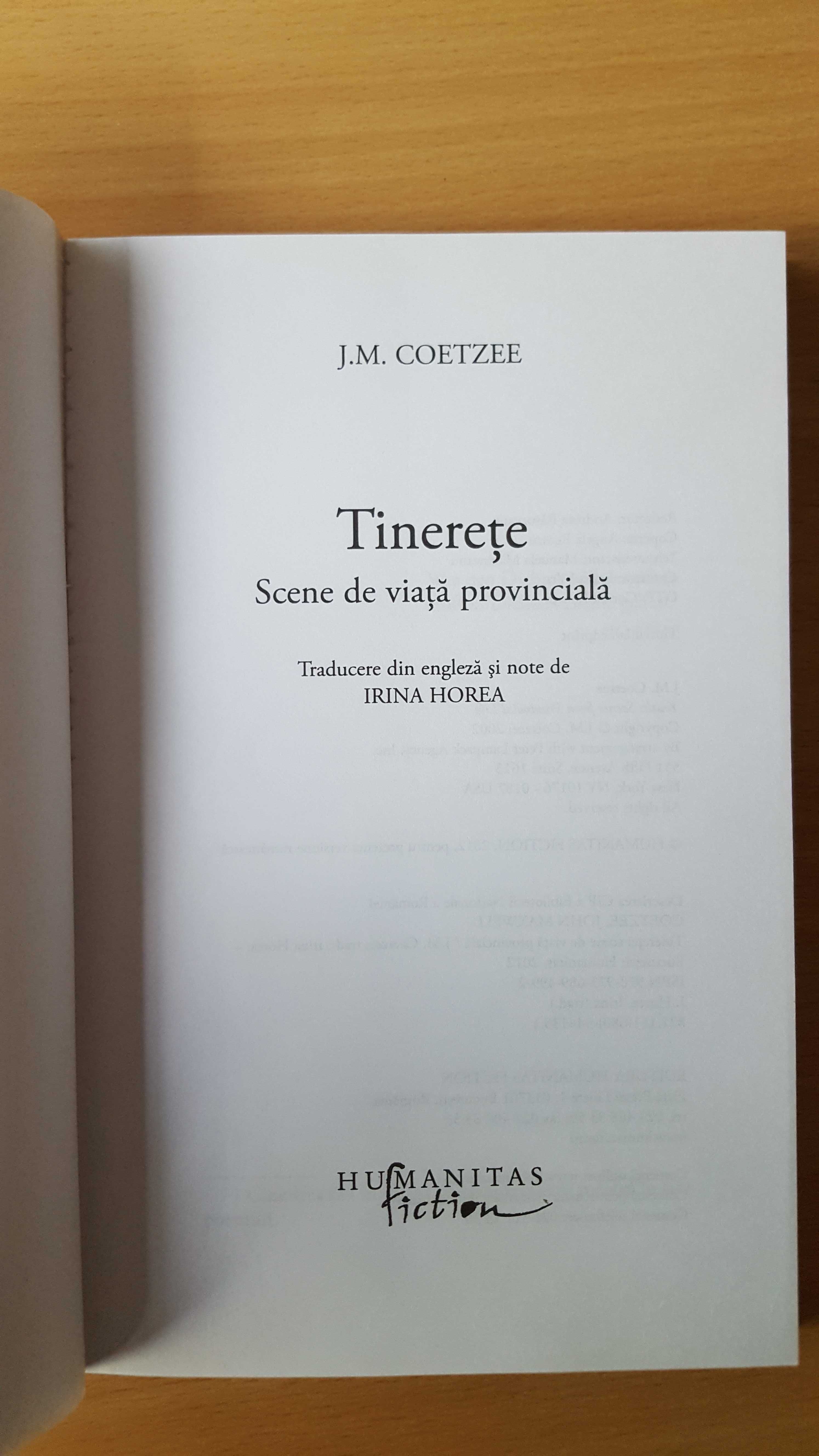 J. M. Coetzee - Tinerete (roman)
