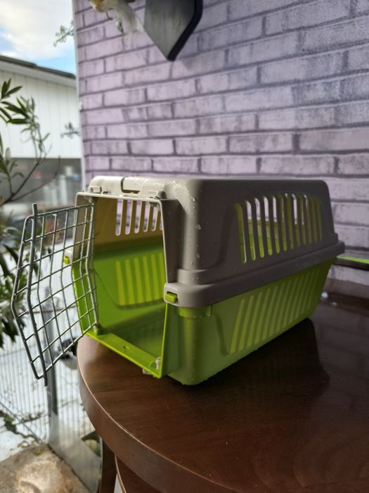 Cusca transport pisici