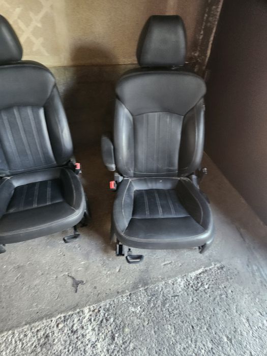 Sideniya arlando kareski