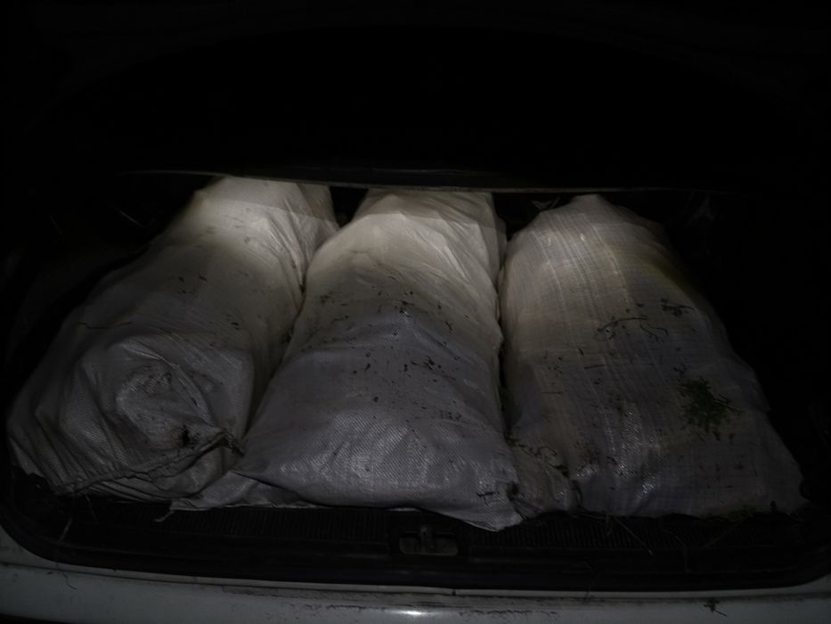 Кукуруза початками 3 мешка 1500