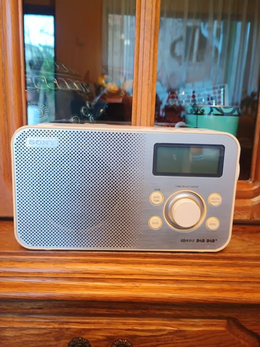 Sony model: XDR-S60DBP