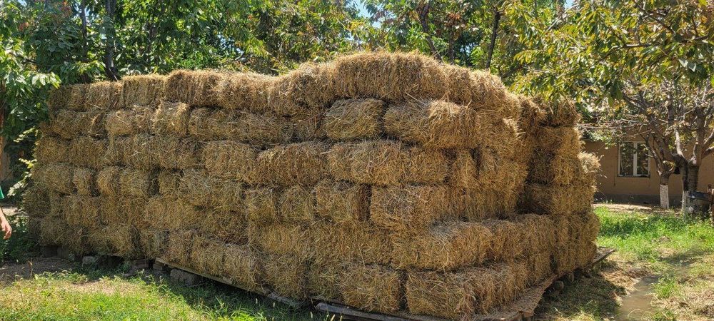 Сифатлик беда,хашак,тариқ аралашмасидаги пресс