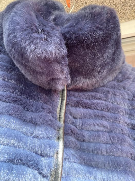 Chinchilla in suvite