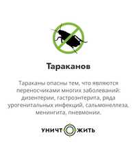 дезинфекция от тараканов 24/7