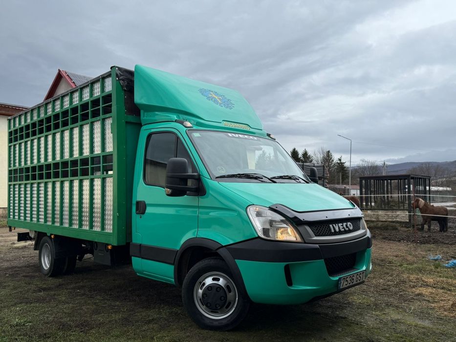 Iveco Daily Transport animale vii