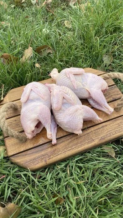 Перепелиные тушки оптом