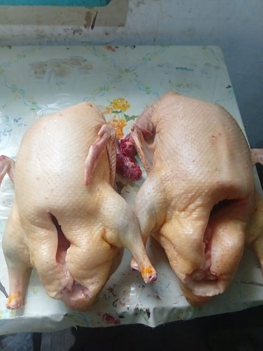 Домашний гусь без химии