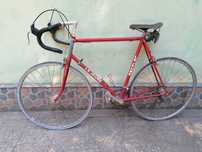 LE JEUNE vintage