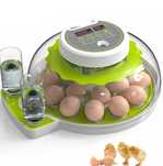 Incubator DETODDA complet automat
