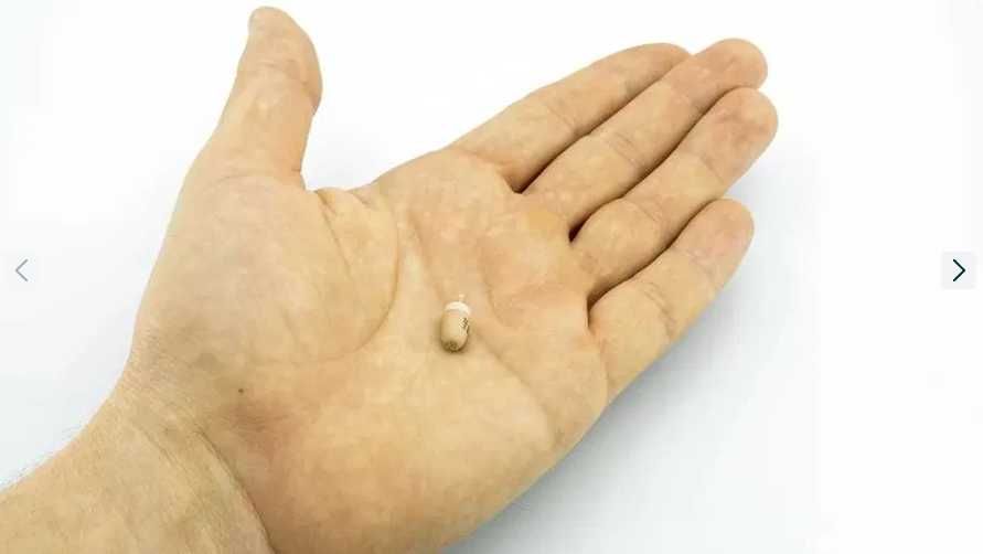 Casti Copiat Casca de Copiat Fara Telefon - Cutiuta GSM NeDetectabila